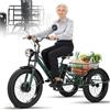Generic Triciclo Eléctrico para Padres Mayores 24 Pulgadas Carga 200kg Altura Ajustable Cesta Trasera para Ejercicio y Compras Verde