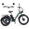 Generic Triciclo Elettrico Adulto Tout Terrain, Batteria 48V 18Ah, 7 Vitesses, Pneumatici Grandi 24'' X 4.0, Grand Panier, Schermo LCD, Ideale per Trajets Quotidiens, Shopping & Loisirs