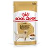 Royal Canin Breed Royal Canin Labrador Retriever Adult umido in salsa per cane - Set %: 40 x 140 g