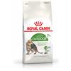 Royal Canin Multipack risparmio! 2 x Royal Canin Feline Crocchette per gatti - 2 x 10 kg Outdoor 7+