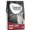 Concept for Life Multipack risparmio! 2 x Concept for Life Crocchette per gatti - 2 x 3 kg Maine Coon Adult Salmone