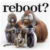 reboot あきらめない詩 / 流れ星 (CD)