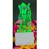 Shree RAM Bhagvan Acrilico 3D Illusione Lampada 5 Colore Cambia LED Spina Notte