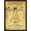 Broccoli Manica Ibrida Leonardo Da Vinci Uomo Vitruviano GIAPPONE UFFICIALE