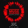 52733 Muse