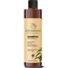 SPECCHIASOL Srl TRICOMNIA SHAMPOO ANTIFORFORA
