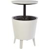 Keter Cool Bar - Tavolo frigorifero per esterni e giardino, capacità 30 l, 45 lattine, 52 x 42 x 52 cm, marrone
