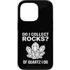 Rock Collector Funny Geologist Custodia per iPhone 13 Pro Funny Of Quartz I Do Rock Collector Geology Pun
