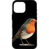 Robin Bird Outfit Custodia per iPhone 16 Pro Max Grazioso costume da pettirosso per gli amanti degli uccelli