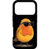 Robin Bird Outfit Custodia per iPhone 17 Pro Uccello colorato con una bella piuma per gli amanti di pettirossi e ali