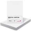Netuno 50 fogli di cartoncino bianco bristol formato A3 29,7 x 42 cm 170g cartoncino grande bianco stampabile cartelloni bianchi per lavoretti dipingere scrapbooking fai da te bambini