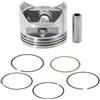 Tufgo Kit pistone da 39 mm per GX35 per decespugliatore a quattro cilindri da 35 CC compatibile con modelli GX35T GX35NT Parte di ricambio OEM