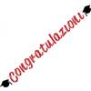 Generico Festone Laurea Metallizzato con Tocco, Decorazione Congratulazioni, 2,5 metri