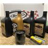 Generico Kit Tagliando Compatibile Con Harley-Davidson Sportster XL 883, 1200, Forty-Eight, Iron 883, Nightster, Seventy-Two, 1200 Custom - Olio Motore, Primaria, Trasmissione, Candele, Filtro Olio