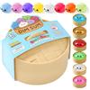TEOREMA Squishy a Forma di Raviolo Scatola a Sorpresa 9 cm