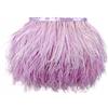 CENFRY Confezione da 2 metri di struzzo, piume di frangia per abiti, cucito, artigianato, costumi, decorazione (lavanda)