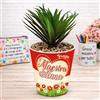 Generico Vaso Vasetto ''LE TUE COCCOLE CON NOME'' in ceramica per pianta Personalizzato, idea regalo di classe fine anno scolastico Maestra asilo nido, scuola materna, elementare infanzia e primaria