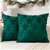 Artscope 2 Pezzi Natalizio Federe in Lana Corta Velluto Copricuscini Morbido Decorativo Fodere per Cuscino Lusso Stile per Divano Camera da Letto Angelo Verde 60x60 cm