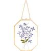 REDHUGO Cornici per fiori pressati, cornici galleggianti in vetro per esporre immagini di esemplari di piante secche, cornice portafoto in ottone con catena, doppio vetro trasparente, decorazione da