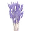 MHDAMAI Piccola Erba Secca di Pampa,Coda di Coniglio Essiccata Mazzi di Erba60Coda di Coniglio Pampa Erba Secca Naturale Fiore Artificiale per Matrimonio Decorazione D'interni Domestica Giardino Festa,Viola