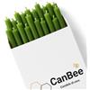 CanBee Candele di cera 20 Candele Sottili Verdi in Cera d'Api Naturale 21 cm x 6,5 mm - Lunga Durata, Combustione Pulita Senza Fumo - Ideali per Rituali, Meditazione e Yoga - CanBee