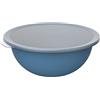 Rotho Caruba - Ciotola 4,8 l con coperchio, in plastica (PP), senza BPA, 4,8 l (32,2 x 30,5 x 13,3 cm)