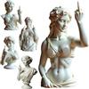 Generic Statua di Venere del dito medio - Divertente busto di Afrodite della dea greca, scultura in resina audace con atteggiamento, decorazione artistica ribelle unica per casa, ufficio, scaffale o scrivania