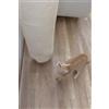 Kerbl Climber mini, Cestino tiragraffi per gatti, Montaggio a parete, Beige, Legno, Sisal, 25 cm