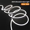 XUNATA DC 12V 24V LED Neon Strip Light Neon Sign Impermeabile Corda in silicone Luci Lampada flessibile Decorazione della casa con filo a 2 pin 9 colori