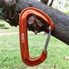 NONE 12KN Piccolo moschettone da arrampicata a forma di D Alpinismo Fibbia Gancio Blocco di sicurezza Portachiavi da campeggio per escursionismo all'aperto