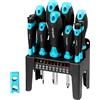 Cecotec Set Cacciaviti 22 Pezzi HardGyro 220 Magnetic. Acciaio CR-V, 10 Punte S2 Antiruggine, Magnetizzatore Incluso, 4 Cacciaviti Precisione, Supporto per Utensili Organizzato e Funzionale