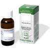 SARANDREA MARCO &C. Srl Sarandrea Marco &c. Ginkgo Biloba 100ml Tintura Madre