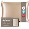 Blissy Federa per cuscino in 100% pura seta di gelso, 22 momme 6A, fibre di alta qualità, per capelli e pelle, normale, queen e king (champagne, standard)
