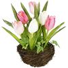 Flair Flower Tulipani artificiali nel nido, 25 cm, fiori artificiali a forma di pappagallo, decorazione primaverile, decorazione pasquale, centrotavola, fiori di seta come veri tulipani artificiali, decorazione da
