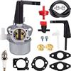 ZAMDOE 696065 697422 Sostituzione del carburatore per Briggs & Stratton 110402 110412 Motore Orizzontale del timone, con Guarnizione di Montaggio Tubo del Carburante Filtro del Carburante Candela