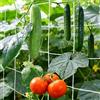 IHLOOTD Rete per Piante Rampicanti Maglia 15cm x 15cm Rete per Pomodori Cetrioli Fagiolini Rampicanti Orto Giardino Fiore Frutta (1.5m x 4.5m)