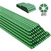 Aoipend Confezione da 30 pali per piante di pomodoro da 40,6 cm, per piante da esterno, fai da te, 1,2 m, 1,5 m, 1,8 m, 2,1 m, robusti, per giardinaggio, verdure, pepe, recinzioni per piante da
