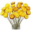 MUYAPAY 20 Pezzi Fiori Secchi Decorativi Margherita, Fiori Secchi Decorativi per Vaso Naturali Boho Realizzati, Resina, per Fai da Te Artigianato Album Ritaglio Home Decor(Giallo)