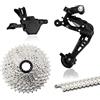 AWEUDNHI Cassette e pignoni Gruppo RX10 1x10 velocità, Gruppo Catena YBN, deragliatori Posteriori, Cassetta MTB da 36t e 42t, Comando Cambio Rainbow M6000 A5 A7 Deore Corona dentata(RX10 42T YBN)
