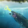 HUSHUI 50 Esche da Pesca in Gomma Morbida Esche Multicolori a Doppia Coda per Accessori per la Pesca di Spigole e Teste di Serpente