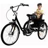 Generic Triciclo elettrico a 3 ruote per adulti, ideale per anziani, con cestino portaoggetti, motore da 350 W, batteria rimovibile da 36 V/12 Ah, portata massima 150 kg.