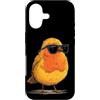 Robin Bird Outfit Custodia per iPhone 17 Uccello colorato con una bella piuma per gli amanti di pettirossi e ali