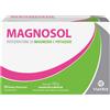 Magnosol 20 Bustine Effervescenti