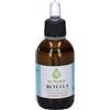 Erbex Gemmoderivato Betulla 4x50 ml Fluido