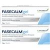 pdmtobemaintained FASECALM Gel® 2x75 ml Gel