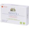 Triticum 3 4x60 pz Capsule