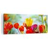 ARTTOR Quadri Moderni Soggiorno Tulipano fiore piantagione prato Quadro su Tela 120x50cm Stampe da Parete Camera da Letto 1 pezzo Wall Art Canvas Grandi Decorazione Murale Grafica Immagini AB120x50-2566