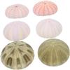 DECORNIJIA Decorazione Acquario Realistica Riccio di Mare in Conchiglia 6 Pezzi | Shells, Ornamenti per Acquario, Accessori per Mix Decorativo, Sicura per Pesci Colore Casuale Stili multipli