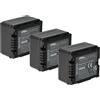 vhbw 3x batteria compatibile con Panasonic HDC-SD20, HDC-SD300, HDC-SD200 videocamera camcorder (700mAh, 7,2V, Li-Ion) con infochip