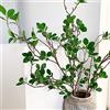 Melorca&Guilla Piante artificiali, 6 rami finti verdi da 110 cm, per vaso, piante artificiali per negozio, giardino, ufficio, decorazione della casa